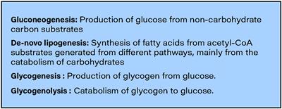 Potential role of microRNAs in selective hepatic insulin resistance: From paradox to the paradigm